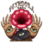 Psyndora Radio icon