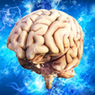 Human Psychology Facts & Tips