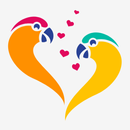 Tawkie APK