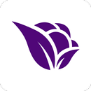 Violetta Cosméticos 2.0 APK