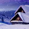Neige Vivre Papier peint APK
