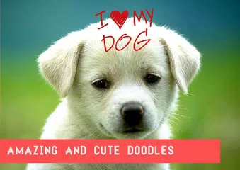 Doodle photo editor HD kids APK download