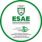ESAE - Escuela de Auxiliares d icône