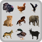 sonidos de animales icono