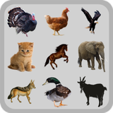 Animal Sounds icon