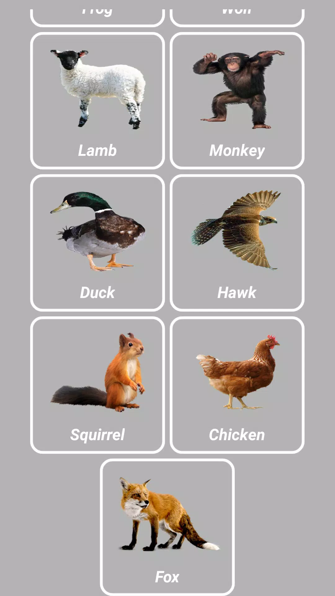 Animal Sounds APK for Android Download Animal Sounds APK for Android Download