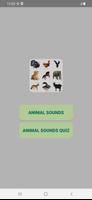 des sons d'animaux Affiche