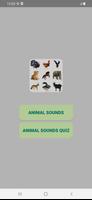Animal Sounds-poster