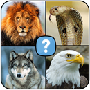 animaux quiz mammifères, reptiles oiseaux poissons APK