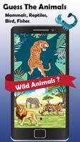 动物 测验 哺乳动物， 爬行动物 鸟类 鱼类 海报