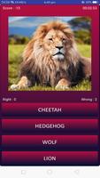 Animals quiz: Mammals, Reptiles, Birds, Fishes screenshot 1