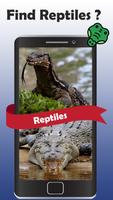 animaux quiz mammifères, reptiles oiseaux poissons capture d'écran 2