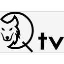 QTv APK