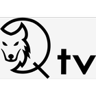 QTv icon