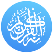 Quran Pro APK Versions