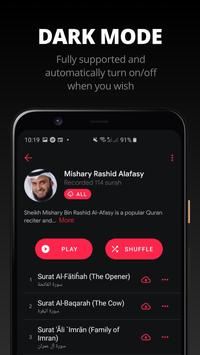 Quran Pro 截图 3
