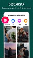 Status Saver captura de pantalla 1