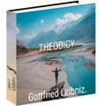 GOOD NOVEL THEODICY