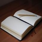 Logic of Hegel PDF Play Books 圖標