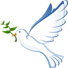 PERPETUAL PEACE आइकन
