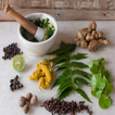 Ayurvedic Plants and Herbs