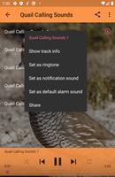 Quail Calling Sounds screenshot 2