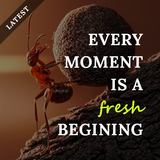 Life Inspirational Quotes-icoon