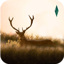 Elixir - Deer Running Game APK