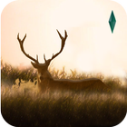 Elixir - Deer Running Game icône