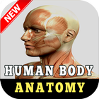 Anatomy of Human Body Organs أيقونة