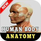 Anatomy of Human Body Organs simgesi