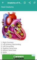 Anatomy of Human Body Organs تصوير الشاشة 2