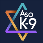 ASOK-9 icon