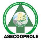 آیکون‌ ASECOOPROLE