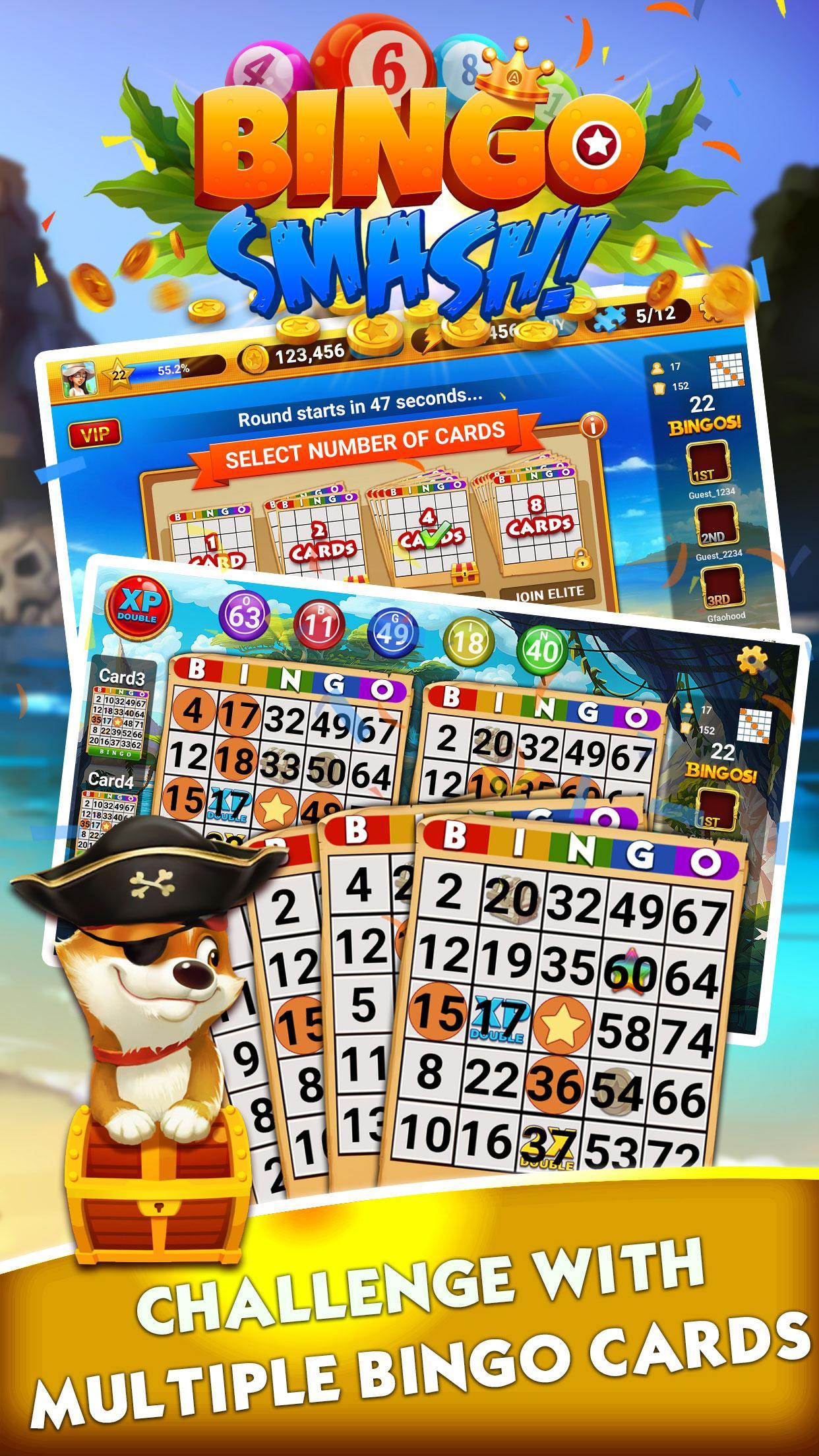 Bingo Bingo