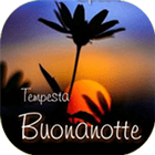 Buonanotte Immagini 图标