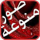 صور منوعة-APK