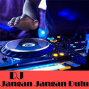 DJ Jangan Dulu Jangan Diganggu APK