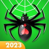 Spider Solitaire आइकन