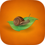 Slow Food. Tour Aragón