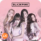 Blackpink Wallpaper HD 4K 아이콘