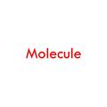 Molecule