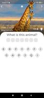 Animals Quest Pro - Fun Quiz ảnh chụp màn hình 3