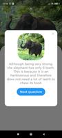 Animals Quest Pro - Fun Quiz ảnh chụp màn hình 2