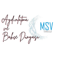 MSV Teknoloji