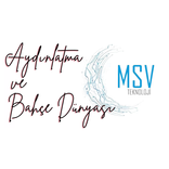 MSV Teknoloji