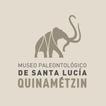 Quinametzin AR أيقونة