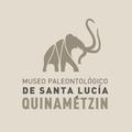 Quinametzin AR
