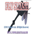 Fly Smash