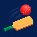 Quick Cricket Hit APK